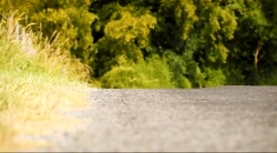 خیلی خیلی کوچک (2) (حشره دیوانه)